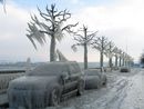 Тормоз Перестройки:  | 2007-02-16 20:01:05