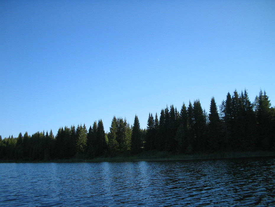 2007-02-18 16:13:58: Лесное озеро просто прелесть