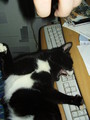 Nacked Kler: ну не читаю я чат в гонках!!! | 2007-02-21 14:36:46