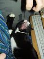 Nacked Kler: ну да, ну Супер, ну Стерва | 2007-02-21 14:36:48