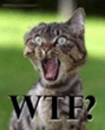 g1Ad: What The Fuck ?! | 2007-02-22 13:12:51