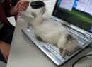  (2007-02-22 15:57:53)