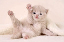  (2007-02-22 15:57:53)