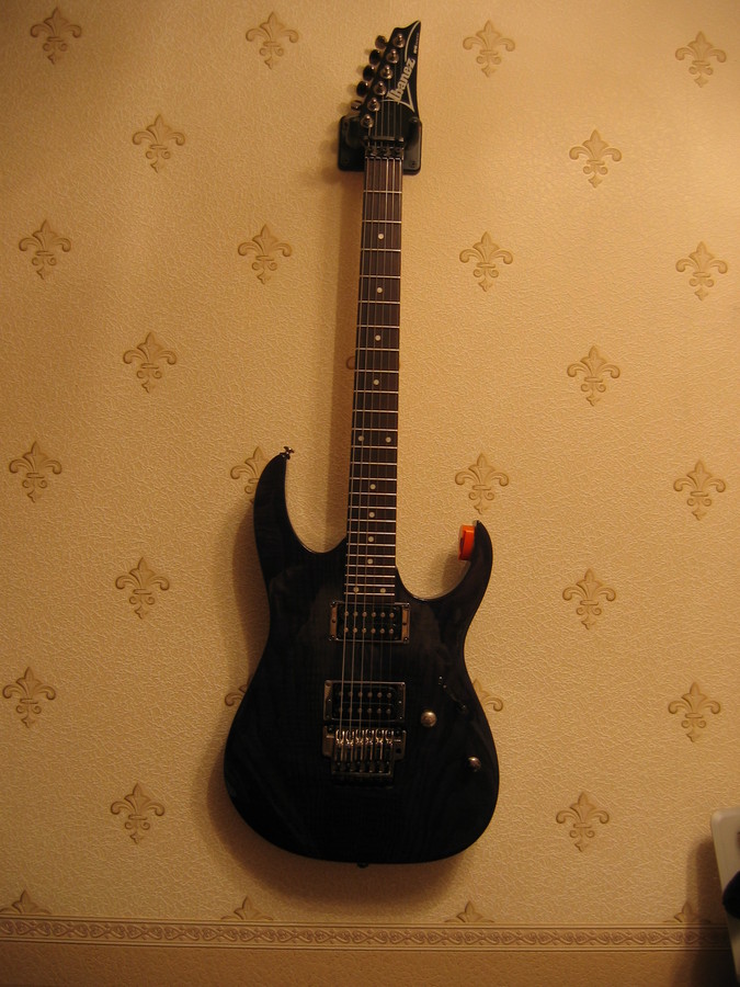 2007-02-22 19:01:02: Моя гитарка
