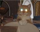 Orc: мое животное | 2007-02-23 02:05:36