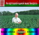 апокалипсис666:  | 2007-02-24 00:31:41