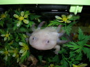  (2007-02-26 15:21:11)