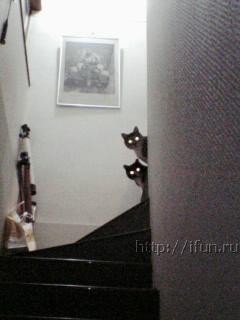 2007-02-27 23:01:12: 