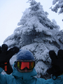 fenyil:  | 2007-03-01 15:25:43