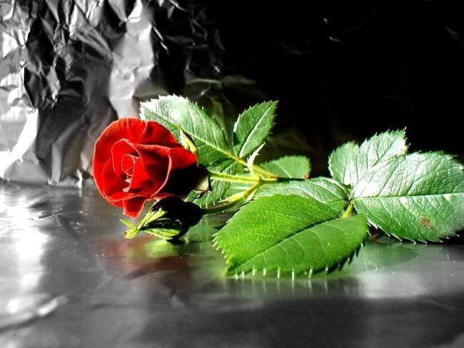 2007-03-01 15:26:58: 