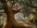 Решил вот на дереве посидеть. (2007-03-02 20:26:27)