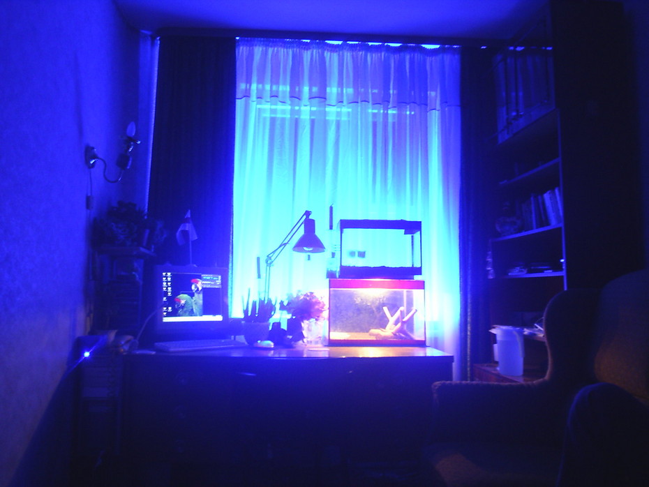 2007-03-03 03:45:02: Моя комната (ночью...)