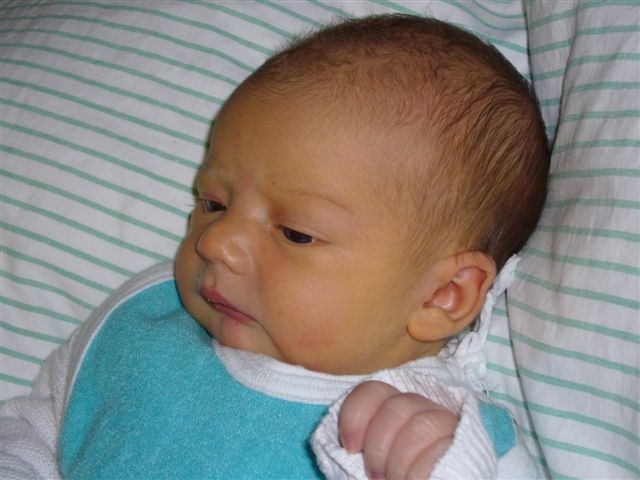 2007-03-03 20:02:42: 