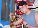 Azotobackter: лобстер )) | 2007-03-05 12:59:36