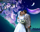 Tatyanka:  | 2007-03-08 20:01:11