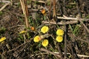 YlveR:  | 2007-03-10 12:32:53