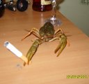  (2007-03-11 18:54:14)
