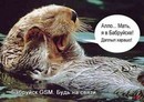 бобр джо:  | 2007-03-15 19:25:24