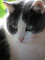 EKX-177rus: султашка))) | 2007-03-20 13:12:38