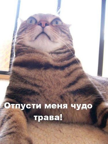 2007-03-21 20:24:13: отпусти же............))))))))