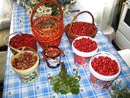  (2007-03-22 00:17:59)