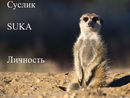 Frankenshtein:  | 2007-03-25 15:20:08