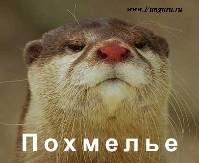 2007-04-09 14:17:44: 