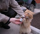 Rogi_Rulez: Чем то на меня похож... ??? (Я не алко) | 2007-03-30 17:40:48