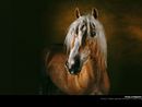  (2007-04-27 02:19:30)