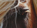  (2007-04-27 02:21:57)