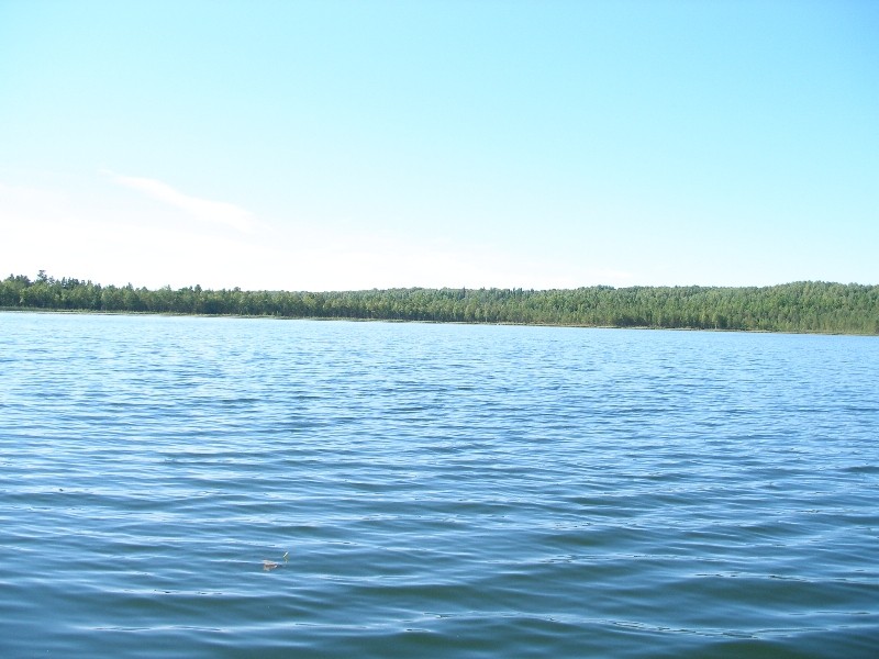 2007-04-27 12:48:47: Это озеро на севере по старой Екатериненской дороге ( по ней гнали декабристов в сибирь)