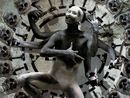  (2007-03-31 20:22:42)