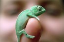  (2007-05-23 13:15:12)