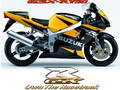 2007-06-13 20:58:59: 