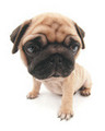 Atom300:  | 2007-07-08 23:34:59