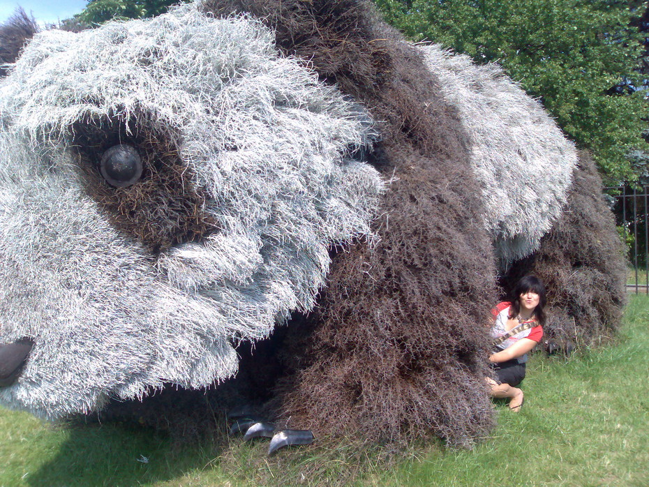 2007-07-18 21:29:43: 