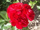  (2007-07-24 22:10:58)