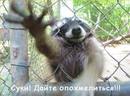 бывает и такое......:) (2007-08-06 17:17:06)