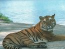  (2007-08-07 16:15:24)