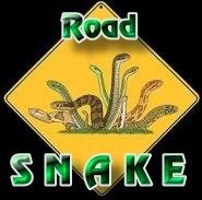 2007-09-15 09:56:31: Аваторка персонажа - "road snake"