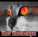 Аваторка персонажа - "Кот Потаскун" (2007-10-21 11:56:46)
