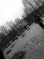  (2007-11-27 17:19:31)