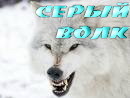 серый волк:  | 2007-12-29 19:20:46