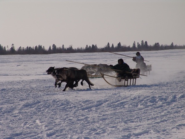 2008-01-03 14:59:41: 200 по встречной  - нас не догонят!(алени под азотом)