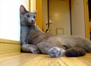  (2008-01-14 22:44:58)