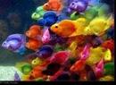  (2008-01-22 13:41:25)