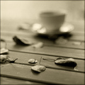  (2008-01-23 19:40:34)