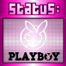 2008-02-03 13:55:11: playboy