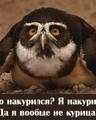 накурился (2008-02-03 13:57:24)