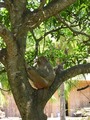  (2008-02-28 18:31:45)